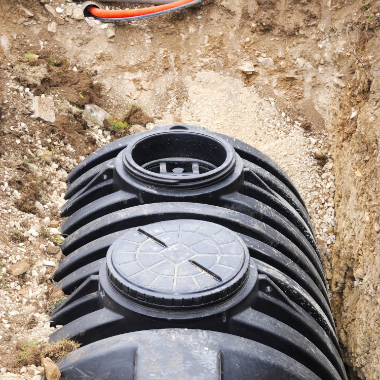 Just another WordPress site Just another WordPress site