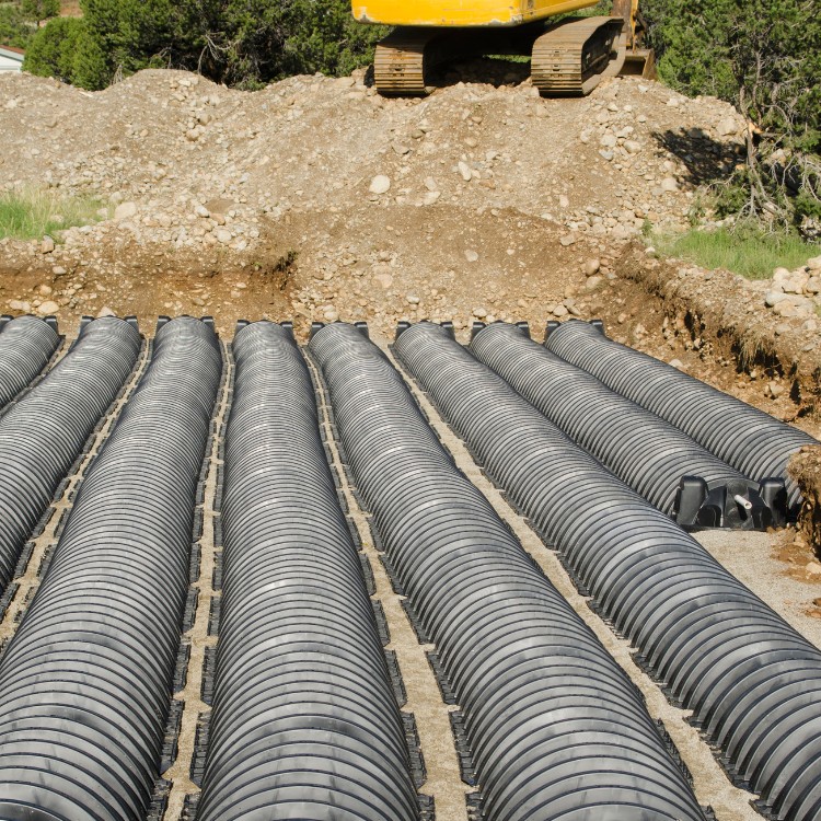 Just another WordPress site Just another WordPress site